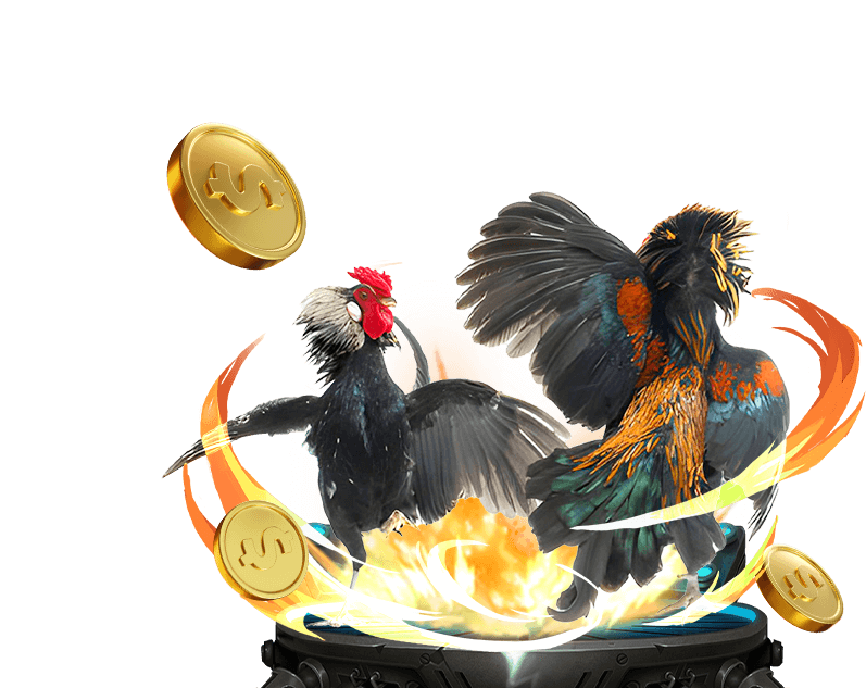 Cá cược Thể thao vn68 club