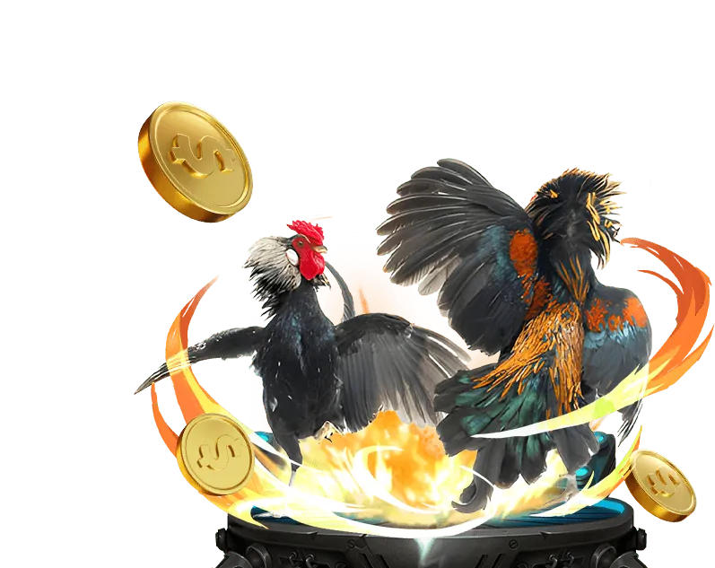 Cá cược Thể thao vn68 club